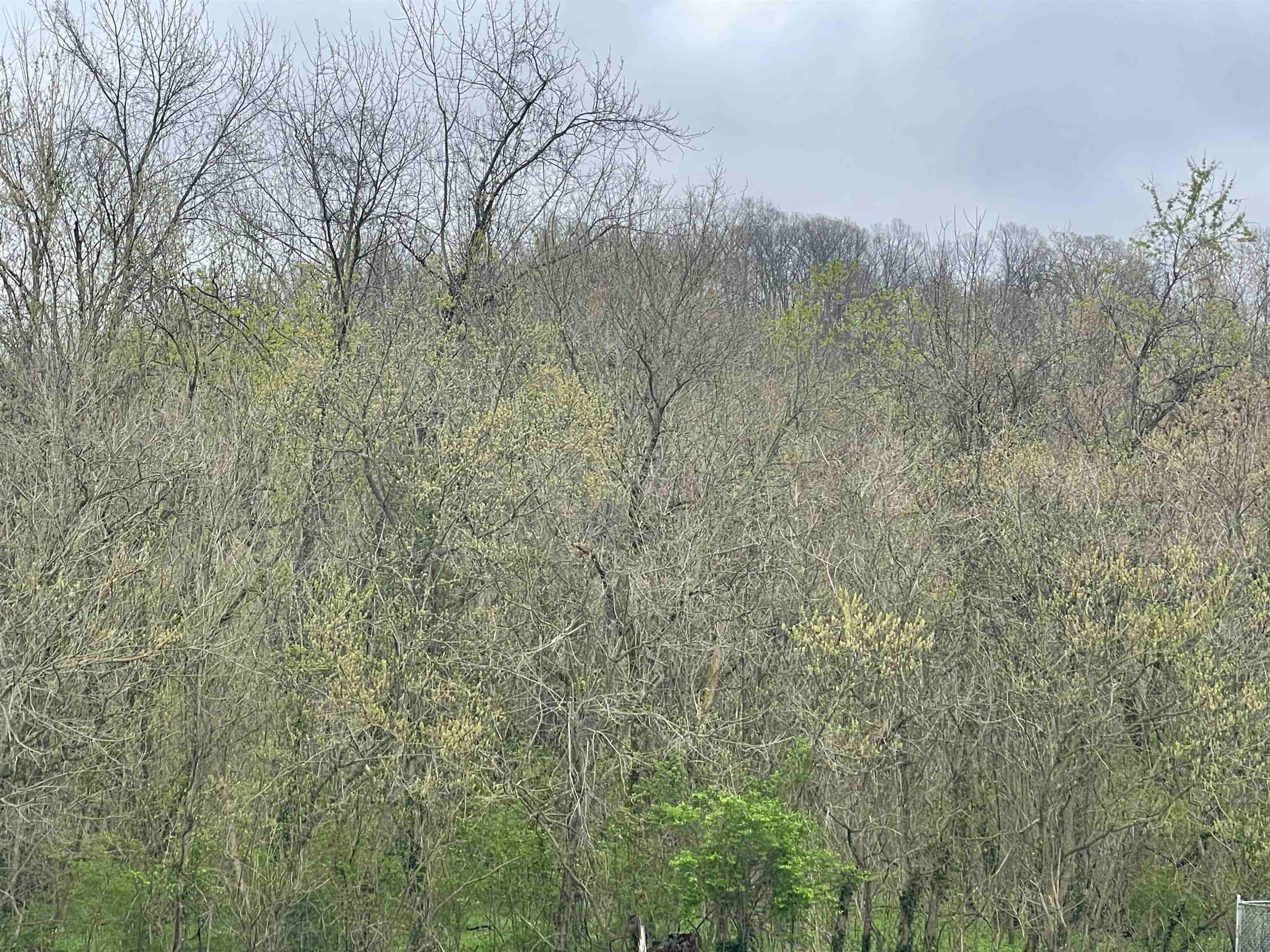 6340 Ohio River Road Lesage, WV 25537 - Photo 9 of 10 Gallery Image 9