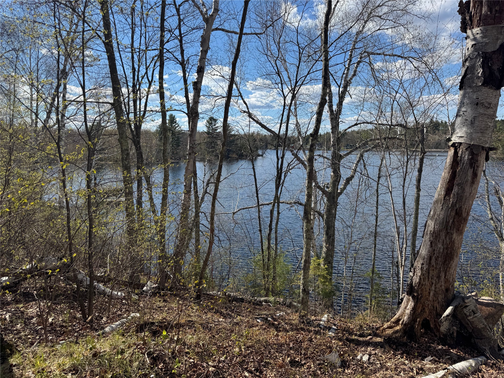 Lot 7 Trapper Trail Hayward, WI 54843 - Photo 15 of 42