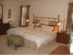 1101 Hillendale Road Gray, TN 37615 - Photo 12 of 24 Master Suite