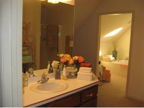 1101 Hillendale Road Gray, TN 37615 - Photo 13 of 24 Master Bath