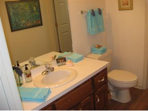 1101 Hillendale Road Gray, TN 37615 - Photo 8 of 24 Half Bath