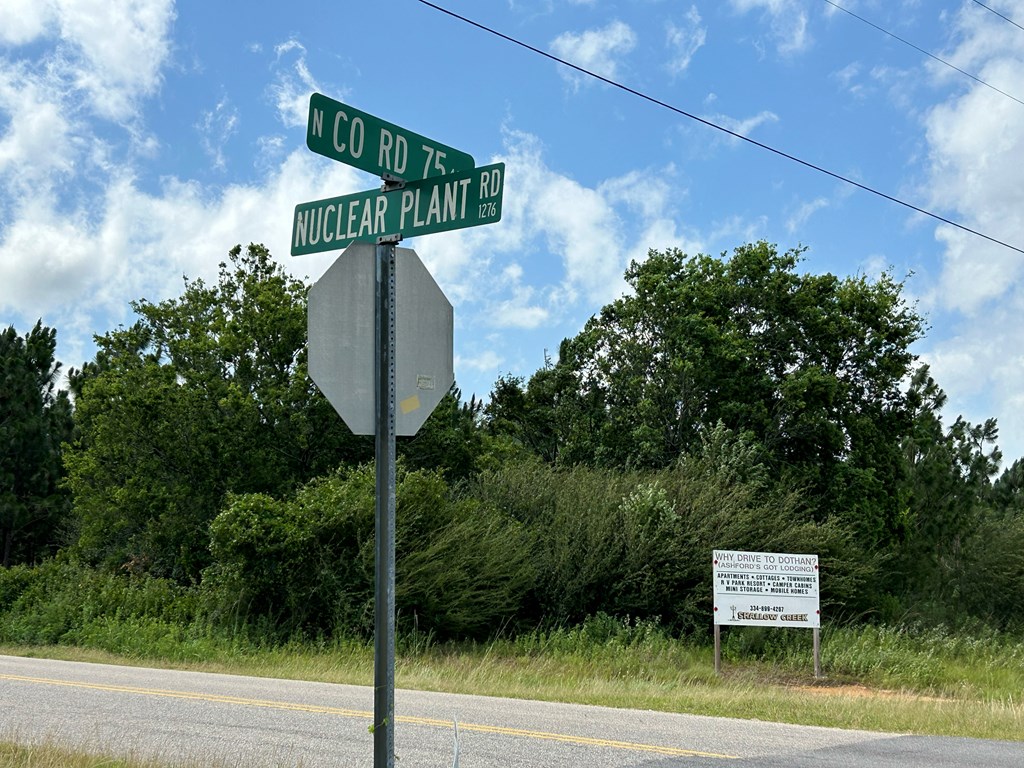 75/ Nuclear Plant Road Columbia, AL 36319 - Photo 12 of 34