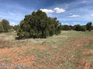 Tbd Tbd The, Unit 7 Concho, AZ 85924 - Photo 1 of 4