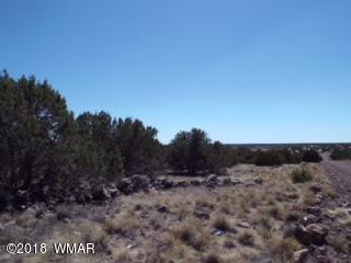 Tbd Tbd The, Unit 7 Concho, AZ 85924 - Photo 2 of 4