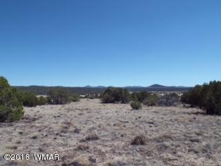 Tbd Tbd The, Unit 7 Concho, AZ 85924 - Photo 3 of 4