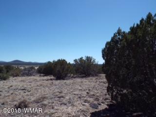 Tbd Tbd The, Unit 7 Concho, AZ 85924 - Photo 4 of 4