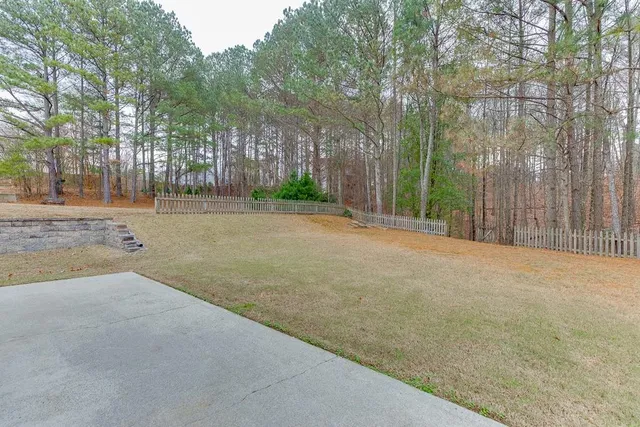 a view of a backyard with large trees