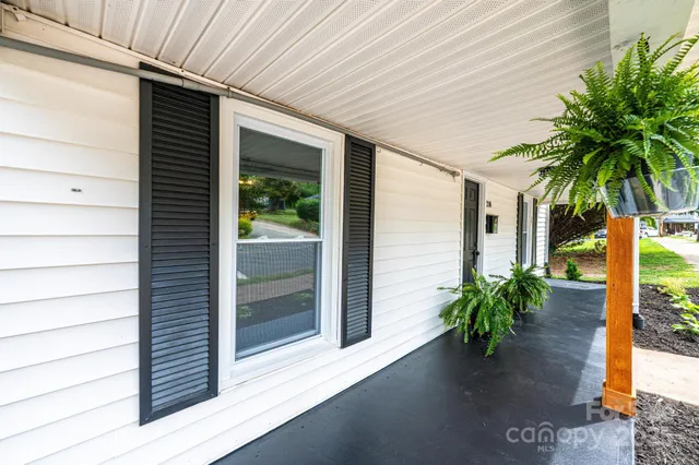 a potted plant sitting in front of a house