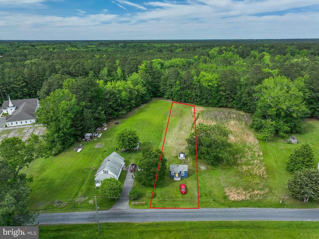 25322 Giles Lane Quantico, MD 21856 - Photo 12 of 15 a view of a yard