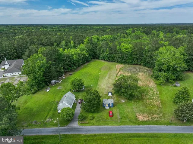 a view of a lush green forest