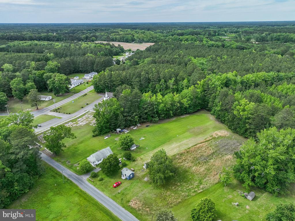 25322 Giles Lane Quantico, MD 21856 - Photo 9 of 15 a view of a lush green forest