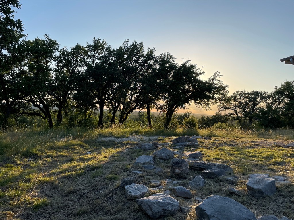 2321 Gentry Creek Road Menard, TX 76859 - Photo 29 of 35 a view of a tree with a yard