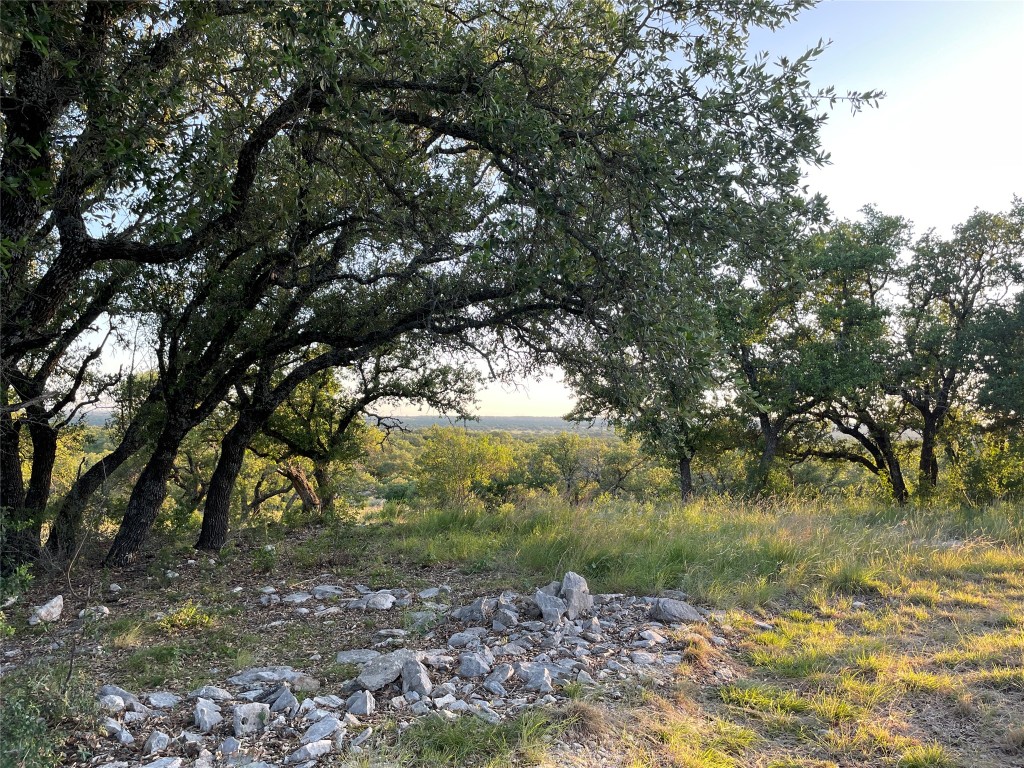 2321 Gentry Creek Road Menard, TX 76859 - Photo 31 of 35 a view of a yard with a tree