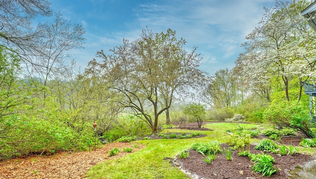 7 Noonhill Road Medfield, MA 02052 - Photo 32 of 34 Gallery Image 32