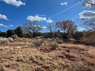 29 County Road B41E Ribera, NM 87560 - Photo 44 of 51 Cottonwoods nearby to the spring