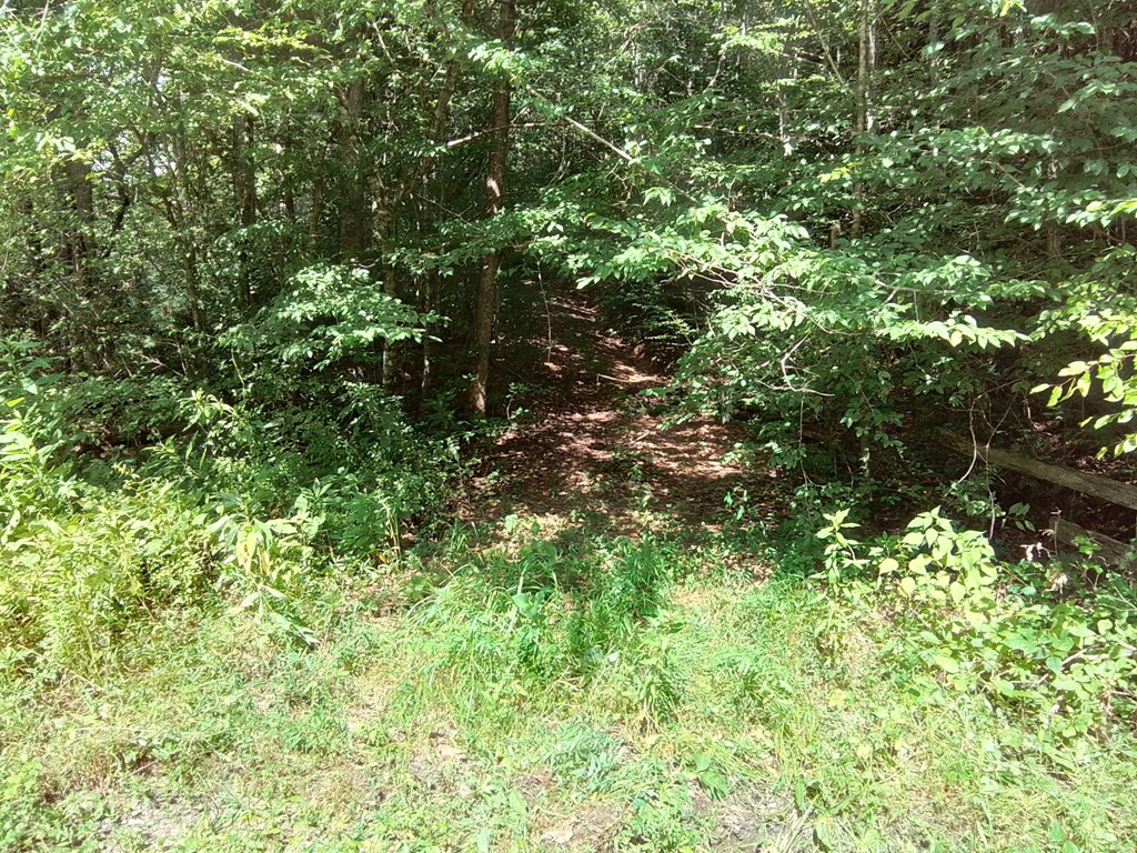 1378 S Morrow Road Murphy, NC 28906 - Photo 24 of 27