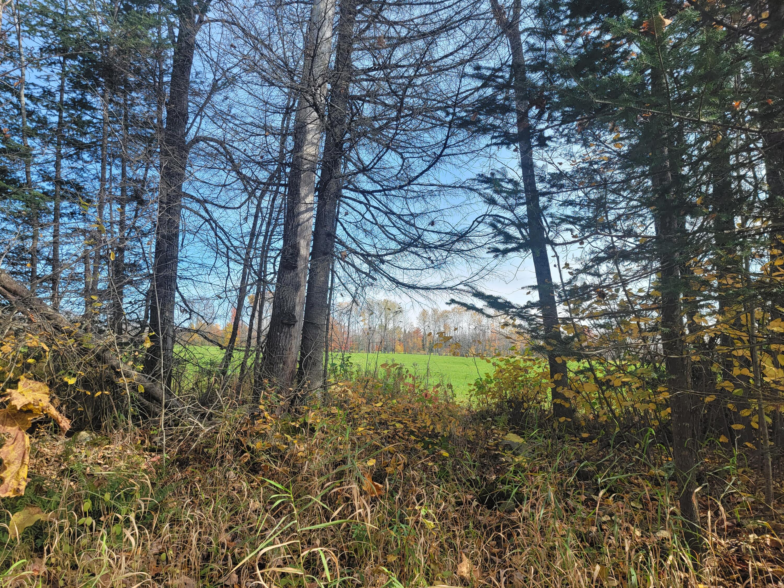 Lot 6 Harris Road Charleston, ME 04422 - Photo 2 of 7 20221017_121321