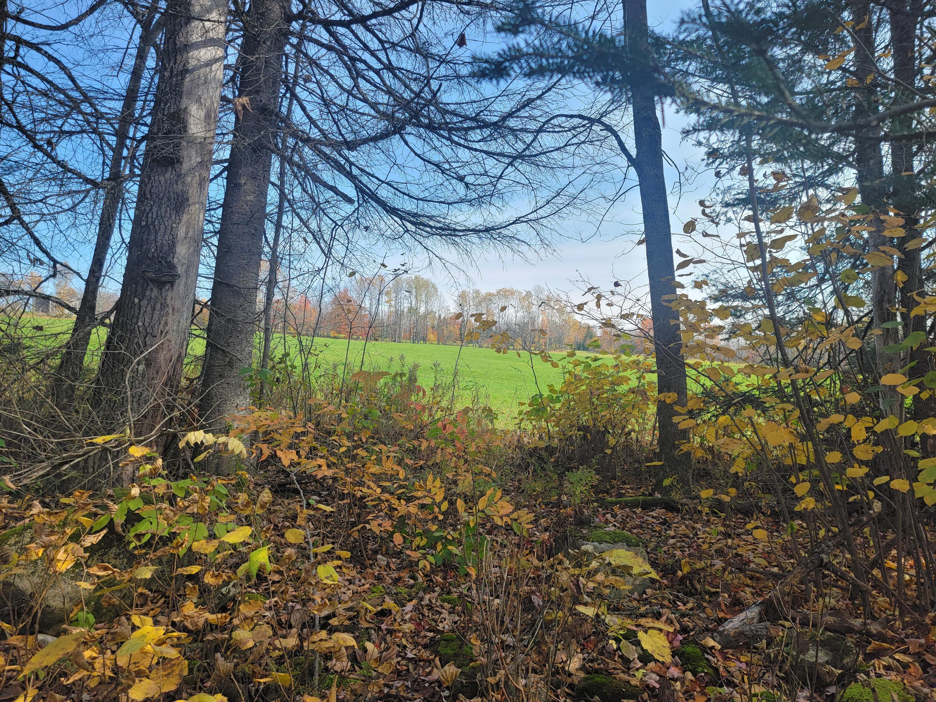 Lot 6 Harris Road Charleston, ME 04422 - Photo 3 of 7 20221017_121325