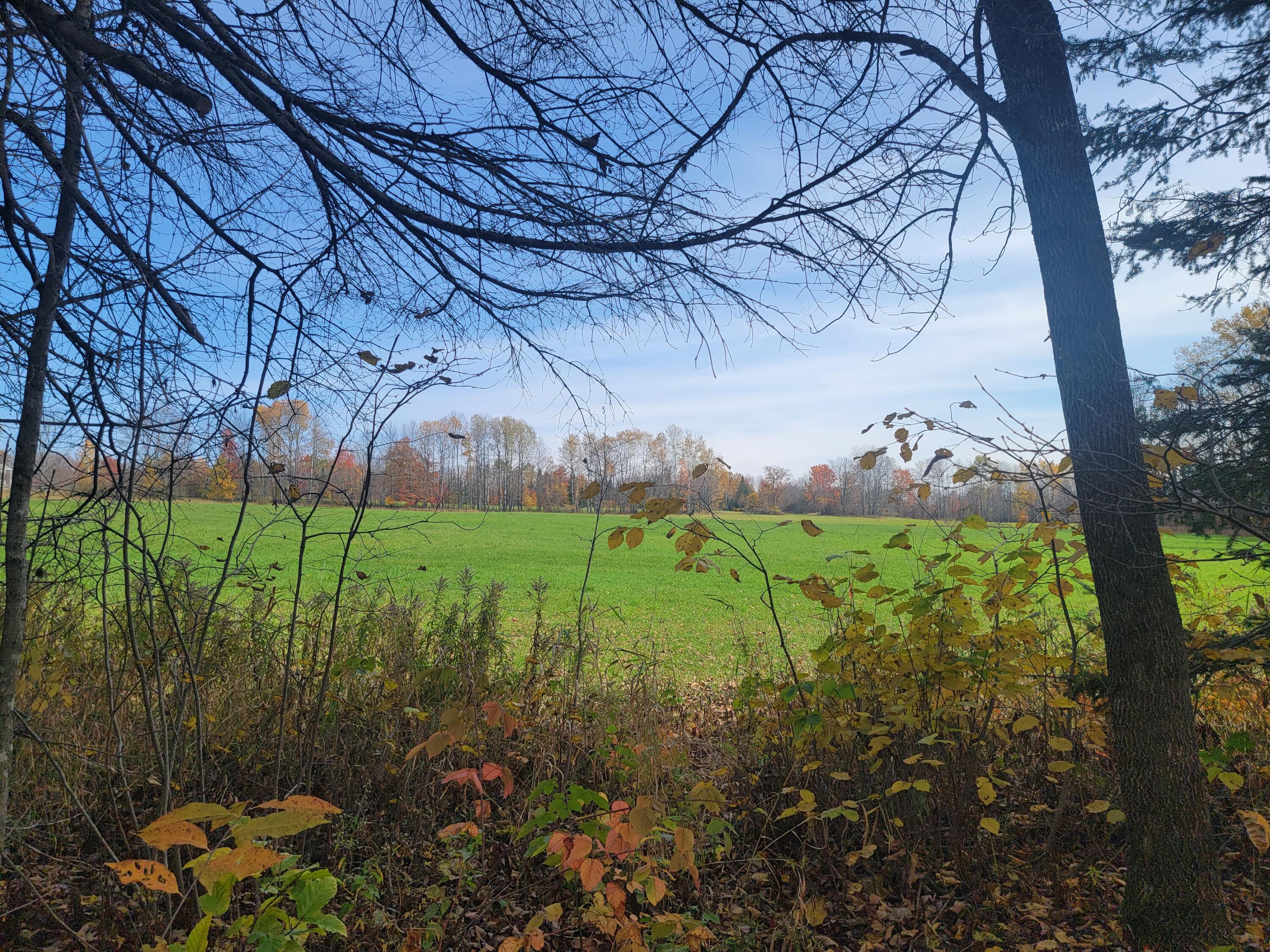 Lot 6 Harris Road Charleston, ME 04422 - Photo 4 of 7 20221017_121330