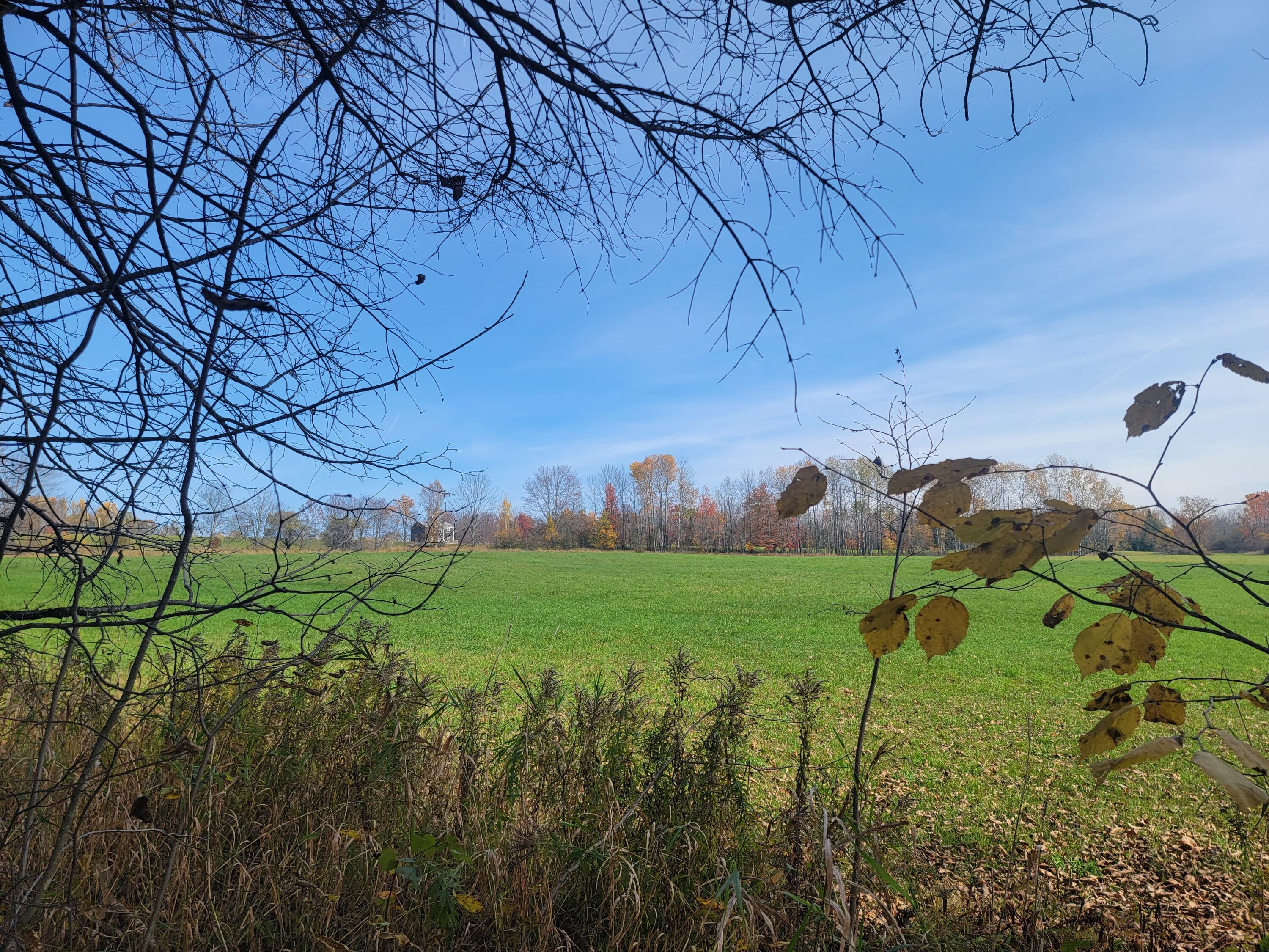 Lot 6 Harris Road Charleston, ME 04422 - Photo 5 of 7 20221017_121335