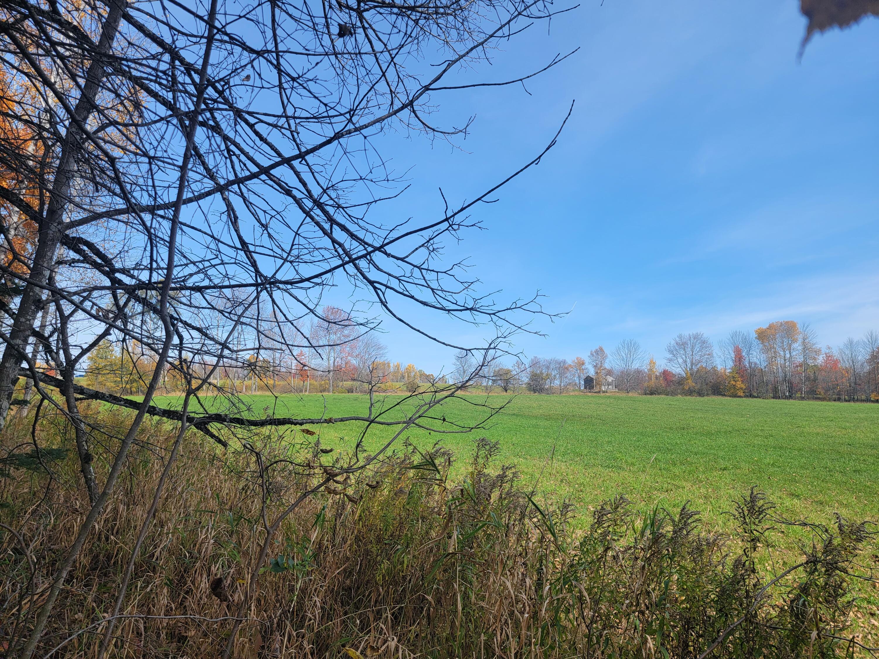 Lot 6 Harris Road Charleston, ME 04422 - Photo 6 of 7 20221017_121338