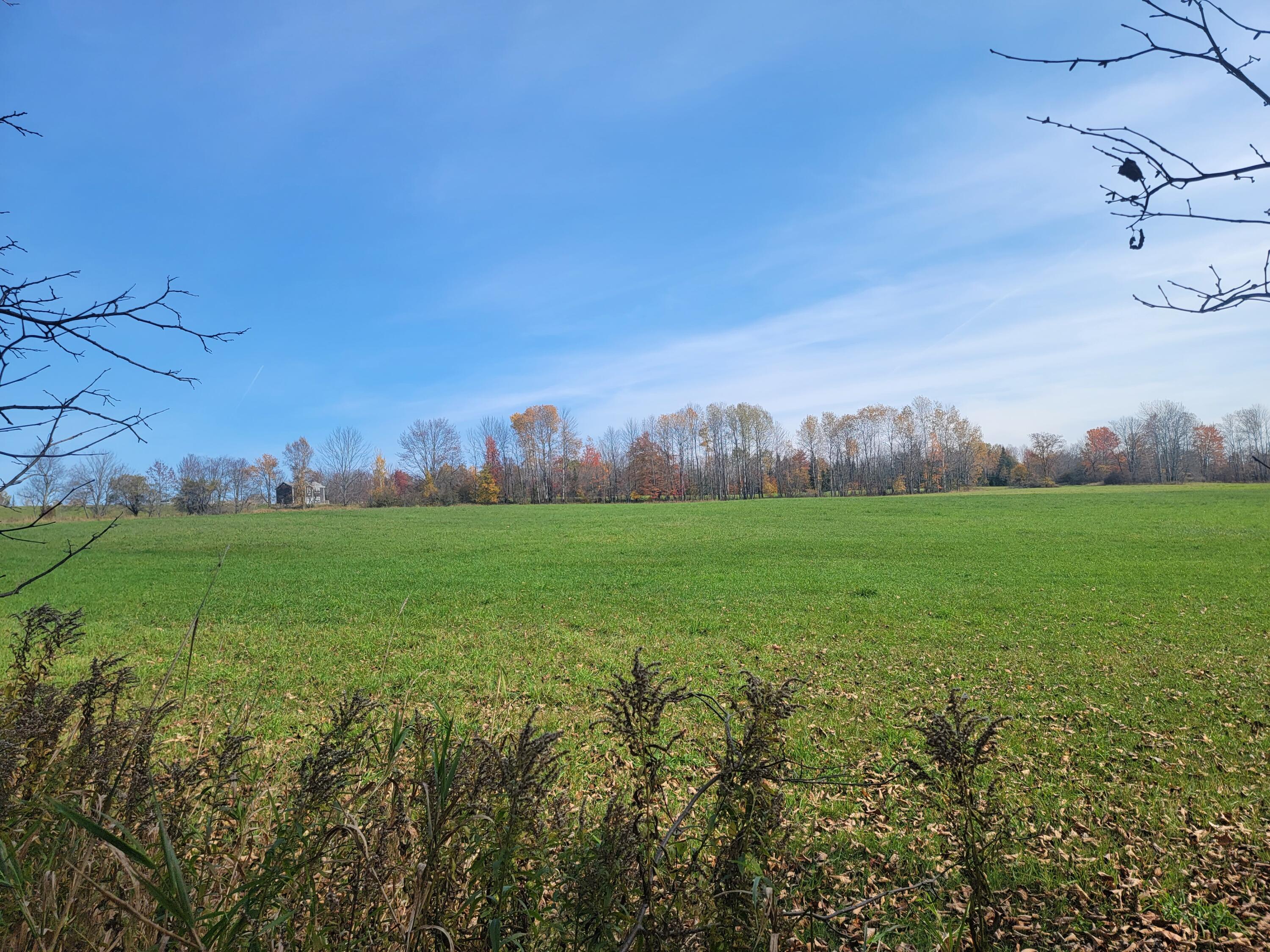 Lot 6 Harris Road Charleston, ME 04422 - Photo 7 of 7 20221017_121340