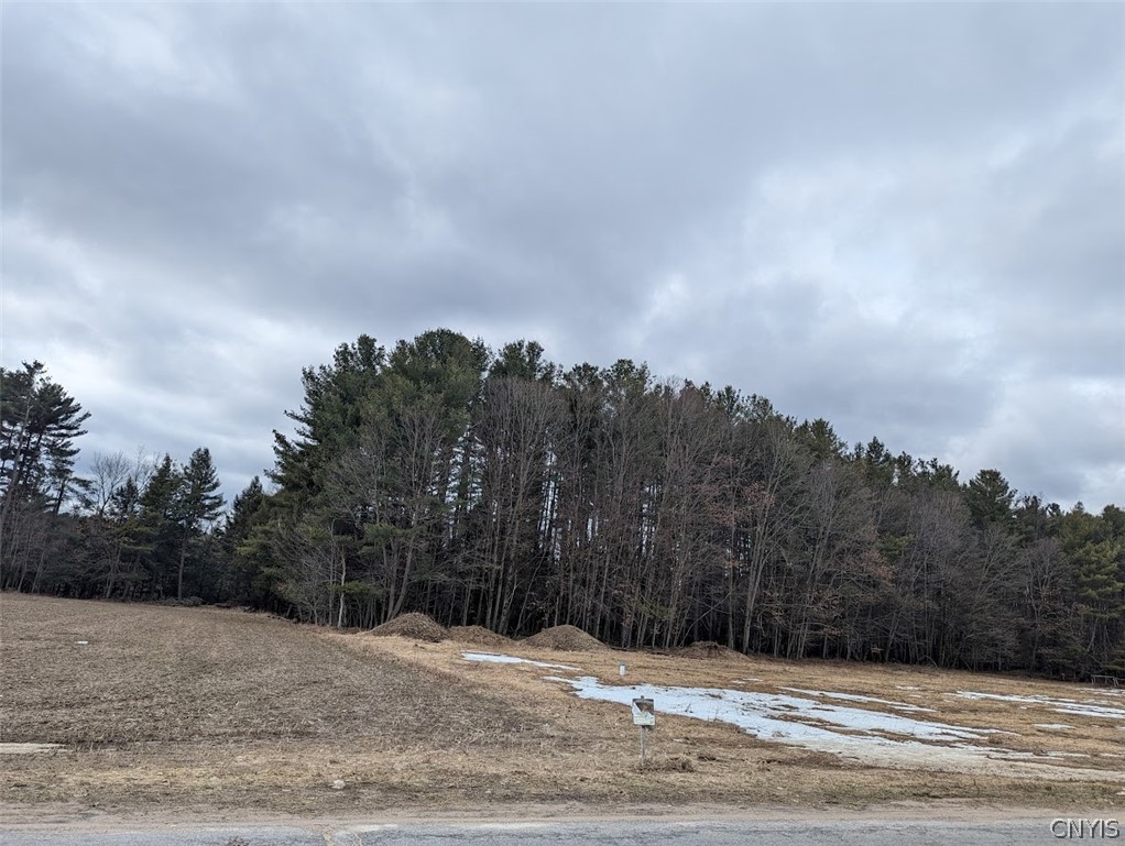 9550 Brewer Road Camden, NY 13316 - Photo 2 of 10
