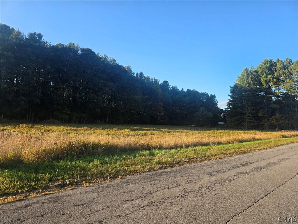 9550 Brewer Road Camden, NY 13316 - Photo 3 of 10