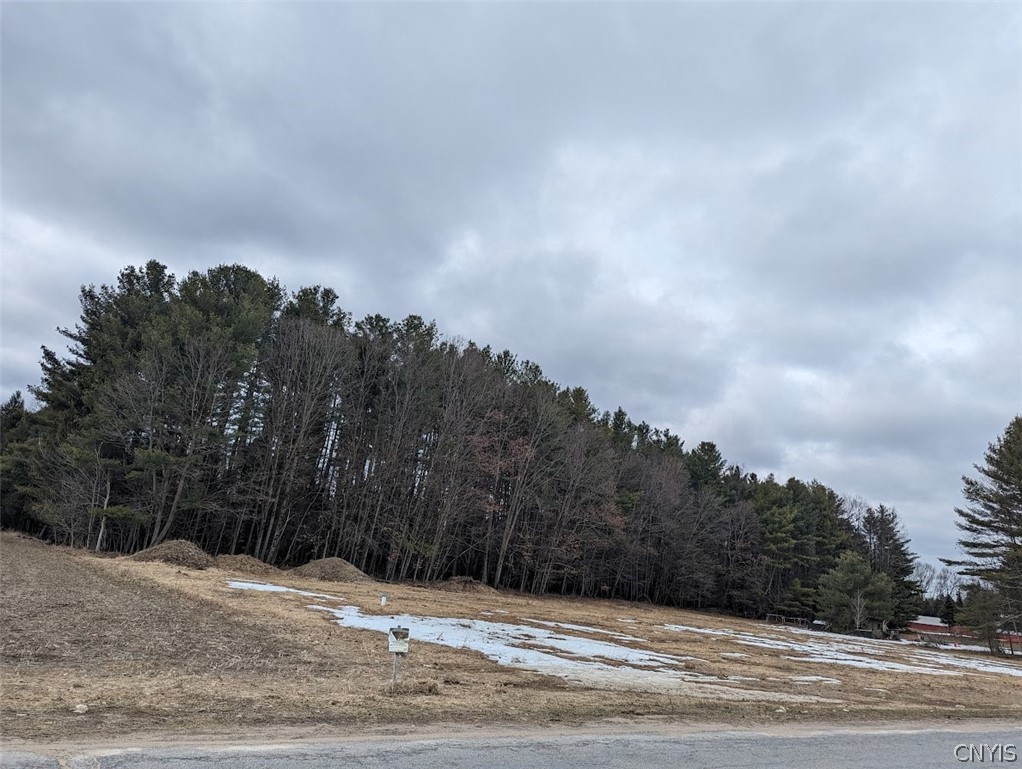 9550 Brewer Road Camden, NY 13316 - Photo 5 of 10