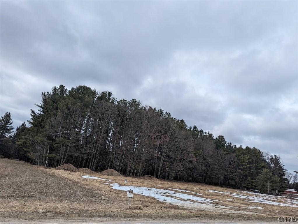 9550 Brewer Road Camden, NY 13316 - Photo 10 of 10