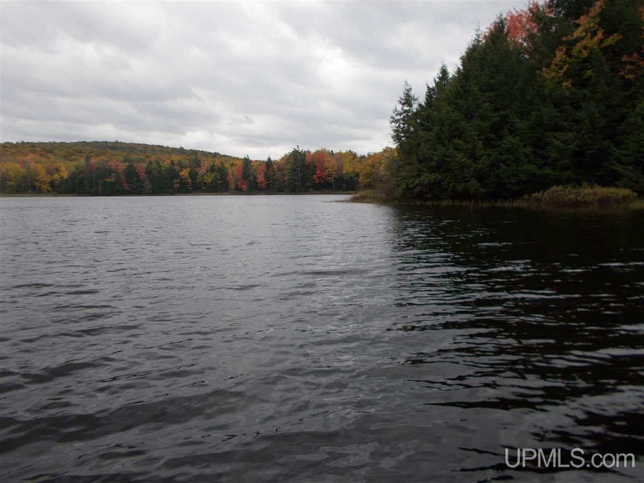 Clark Lake Jack Spurr Road Wakefield, MI 49968 - Photo 14 of 20
