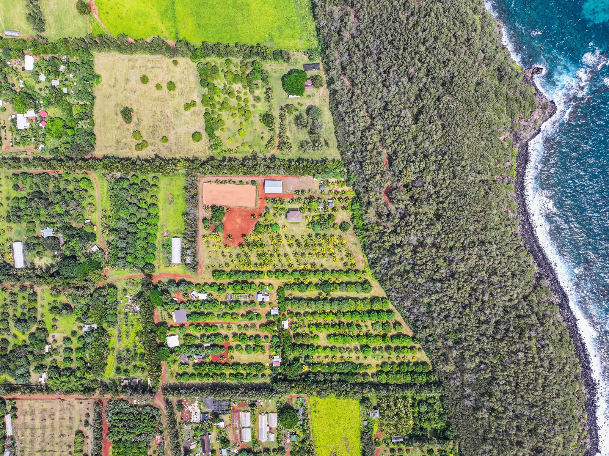 6020 Koolau Road, Unit 53 Kilauea, HI 96754 - Photo 26 of 28 Gallery Image 26
