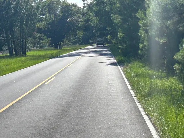 $175,000 | 5856 Martin Street, Unit LOT #4, Ravenel, SC 29470