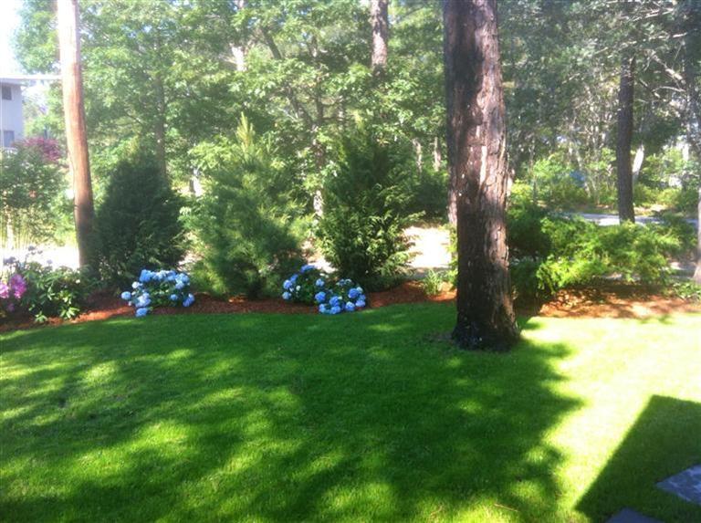 2 Great River Road Mashpee, MA 02649 - Photo 15 of 16 a backyard of a house with lots of green space