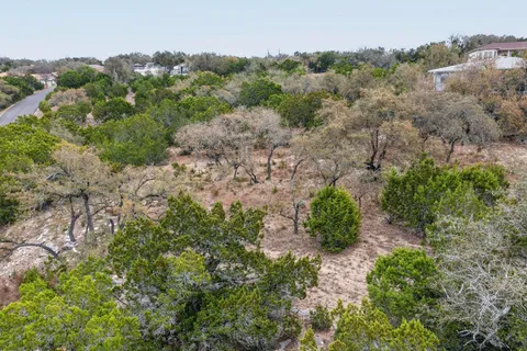a view of a garden with a tree
