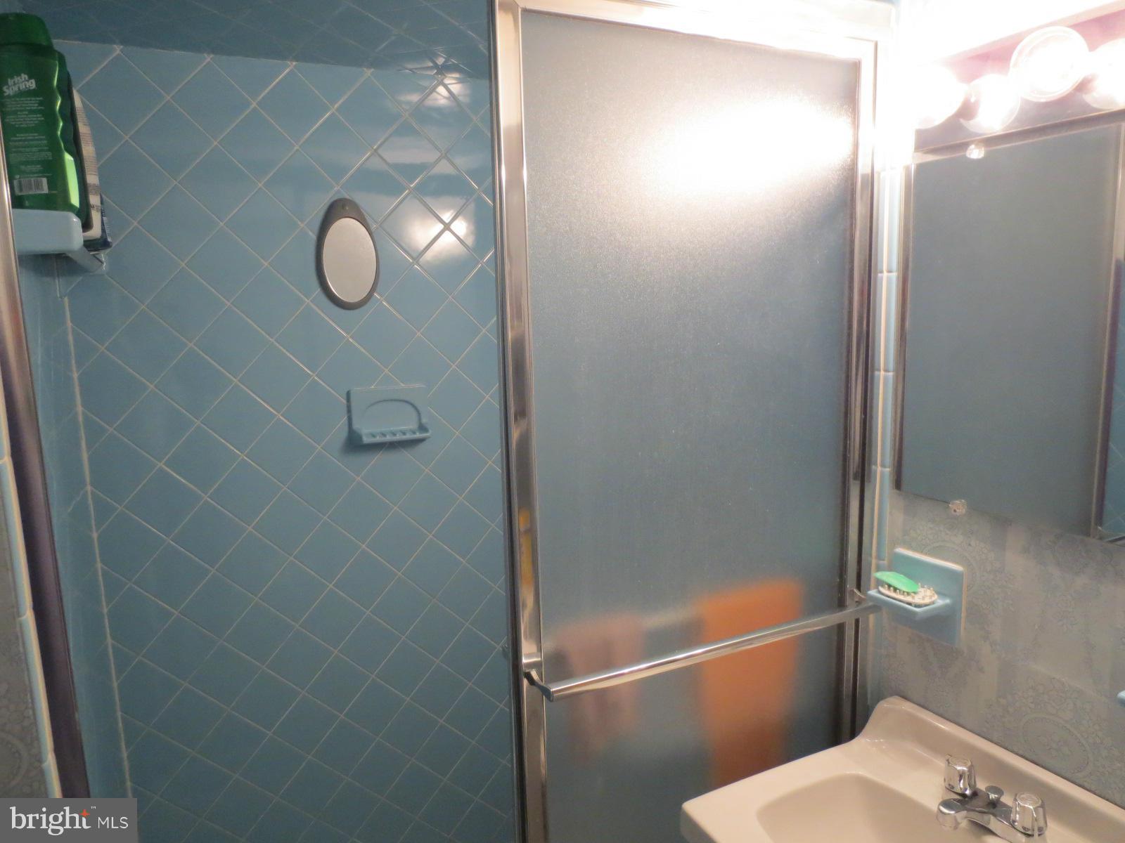 2203 Chapman Road Hyattsville, MD 20783 - Photo 20 of 30 Basement Bath