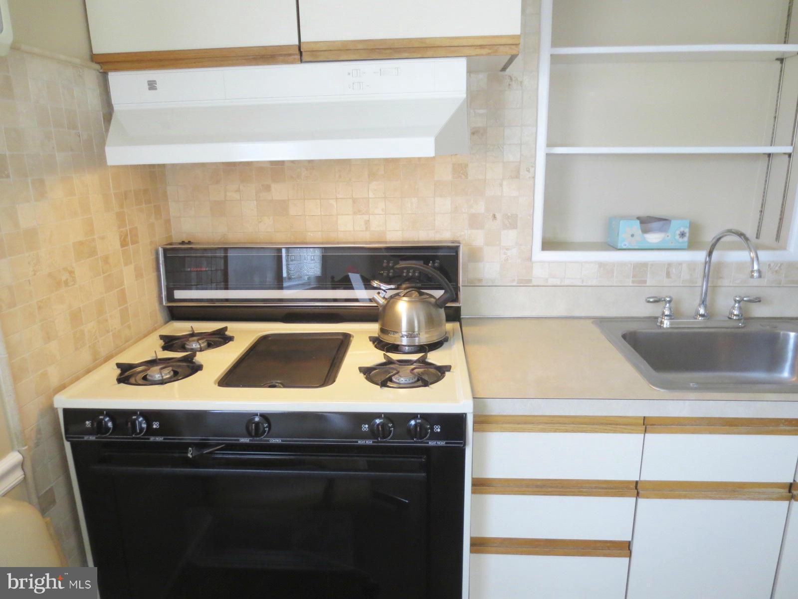 2203 Chapman Road Hyattsville, MD 20783 - Photo 6 of 30 Stove with griddle
