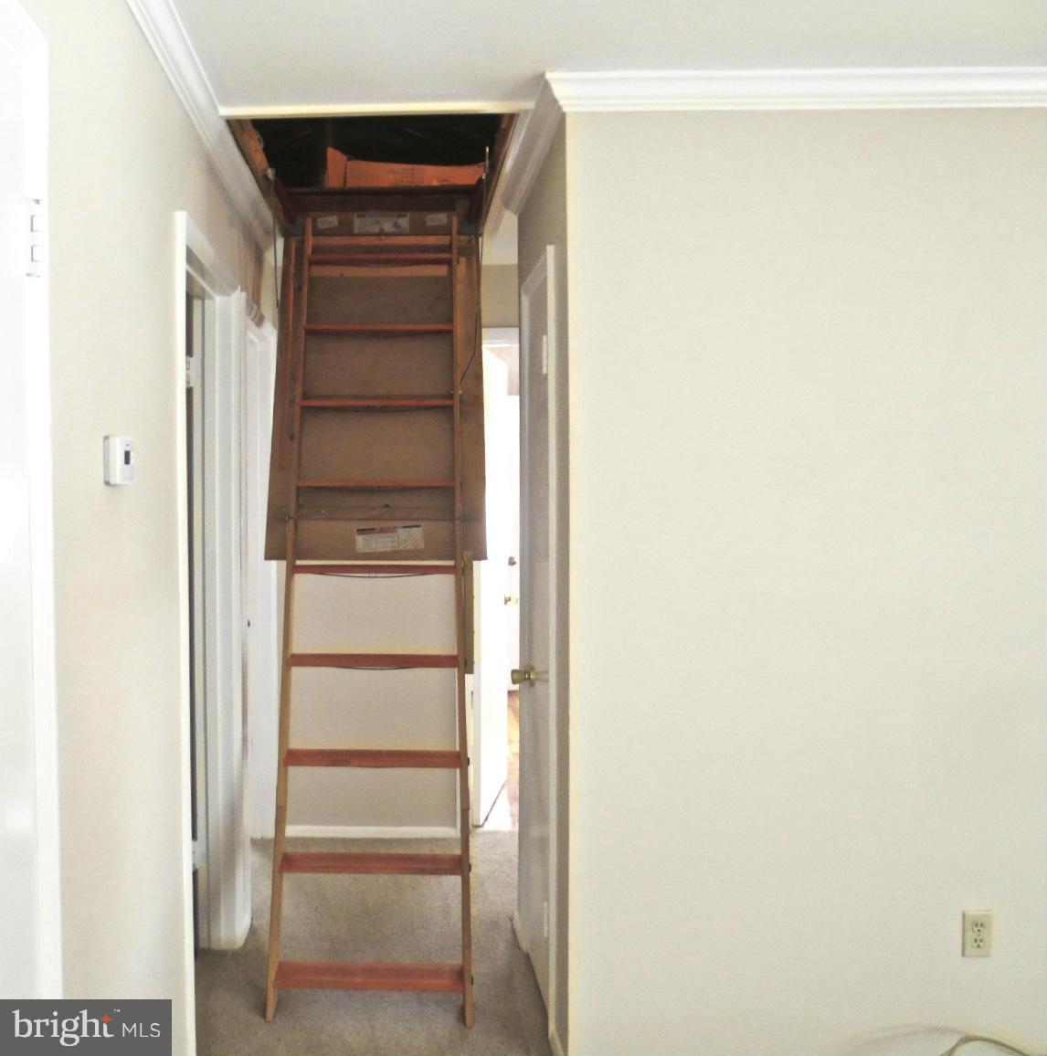 2203 Chapman Road Hyattsville, MD 20783 - Photo 10 of 30 Attic Pull down stairs and crown molding