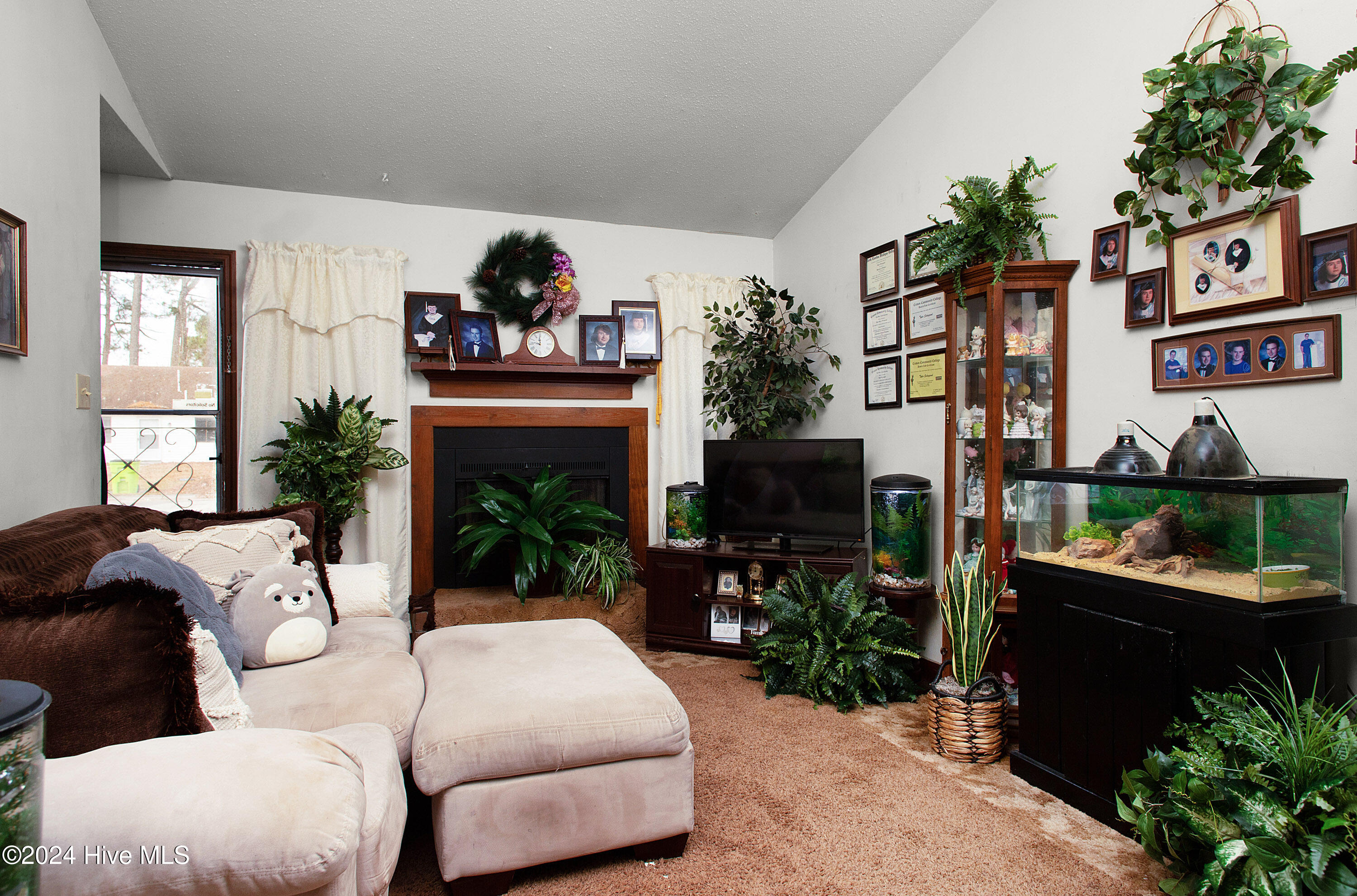 214 Cedar Ridge Lane Havelock, NC 28532 - Photo 18 of 32 Living Room