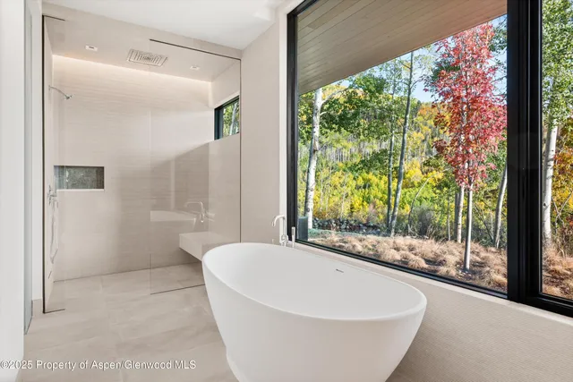 $75,000,000 | 401 Carroll Drive, Aspen, CO 81612