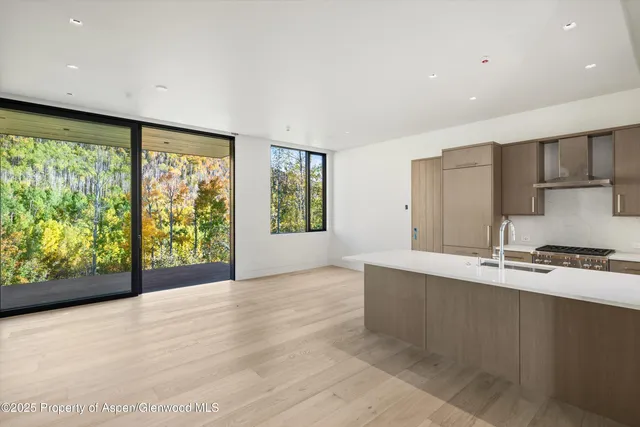 $75,000,000 | 401 Carroll Drive, Aspen, CO 81612