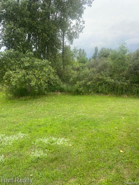 7539 Mowatt Road North Branch, MI 48461 - Photo 23 of 33