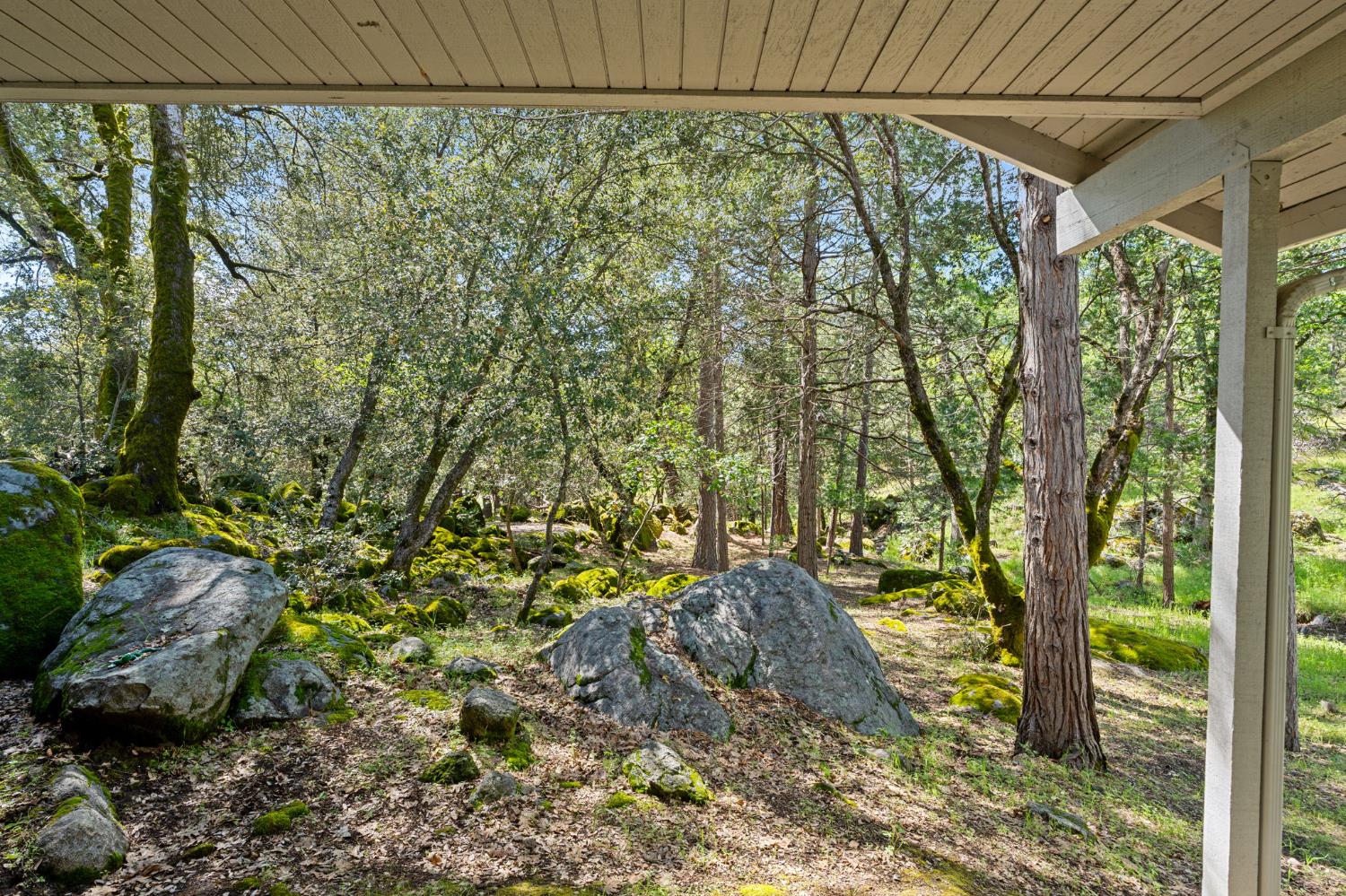 36556 Mudge Ranch Road Coarsegold, CA 93614 - Photo 43 of 73