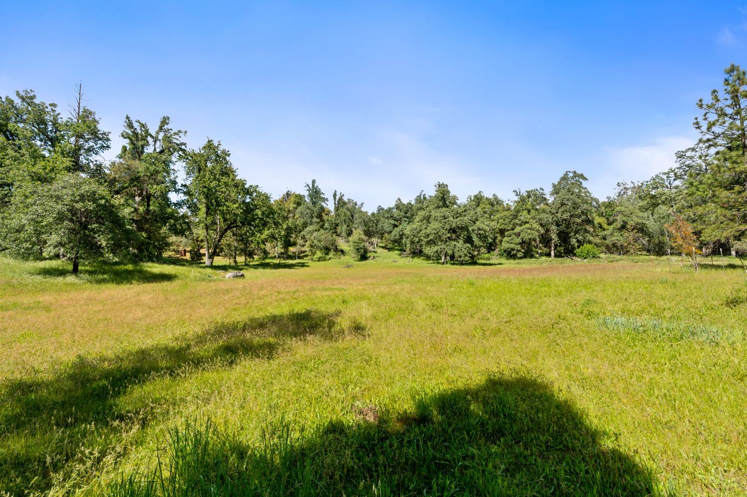 36556 Mudge Ranch Road Coarsegold, CA 93614 - Photo 54 of 73