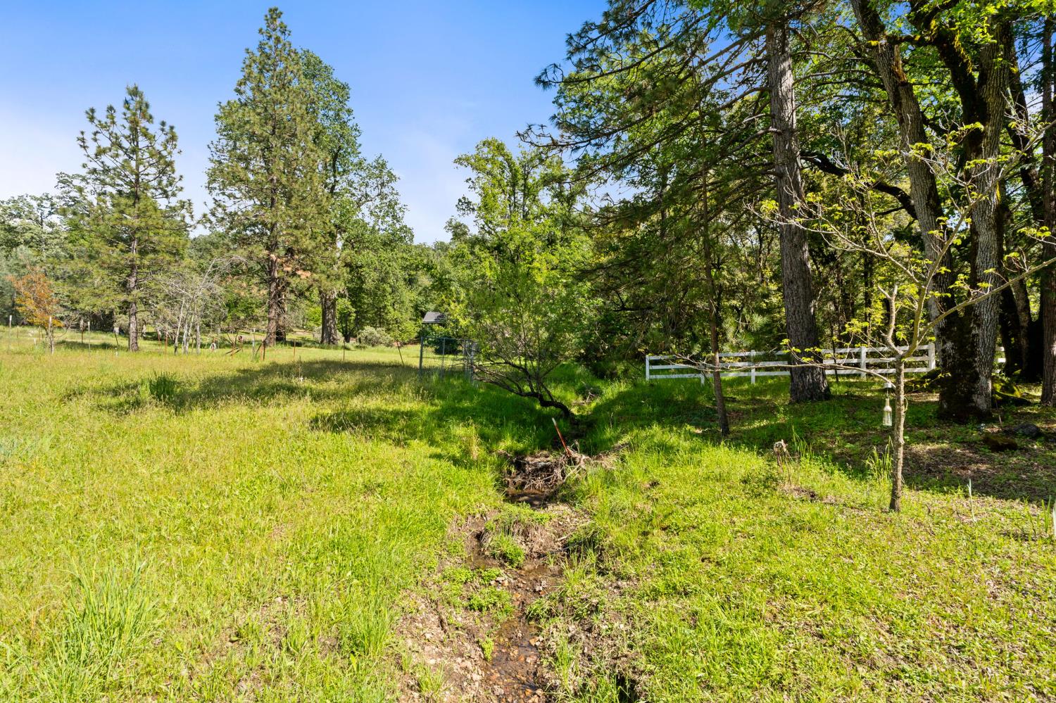 36556 Mudge Ranch Road Coarsegold, CA 93614 - Photo 55 of 73