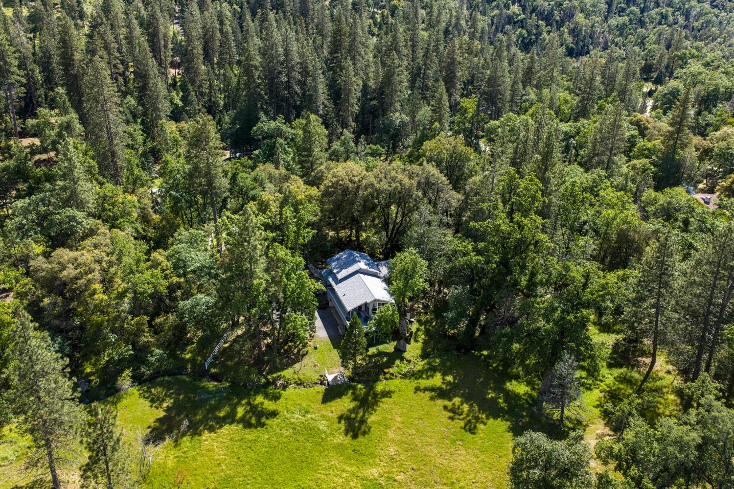 36556 Mudge Ranch Road Coarsegold, CA 93614 - Photo 64 of 73
