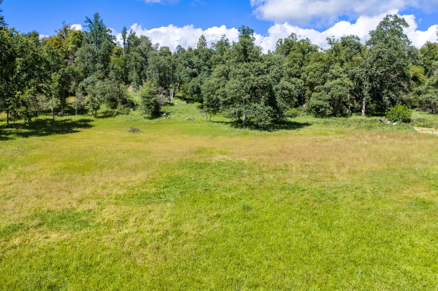 36556 Mudge Ranch Road Coarsegold, CA 93614 - Photo 68 of 73