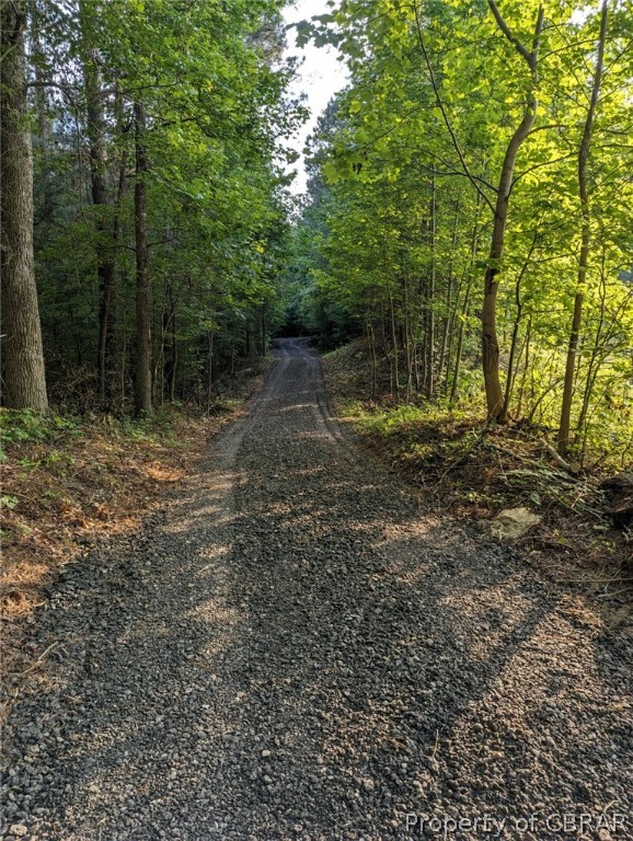 9550 Gee Farm Road Gloucester, VA 23061 - Photo 5 of 50 tree lined driveway.