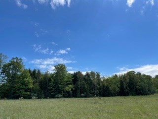 T/b/d Fieldcrest Road Sister Bay, WI 54234 - Photo 4 of 15