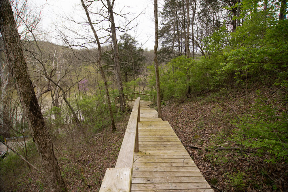 4220 Four Mile Road Winchester, KY 40391 - Photo 34 of 48 34